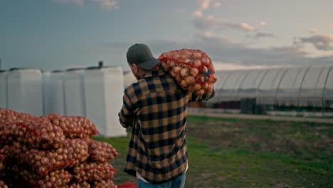 Rear-view-of-a-confident-guy-Farmer-in-a-plaid-shirt-carries-a-bag-of-onions-on-his-shoulders-and-stacks-it-with-other-bags-during-hard-work-on-the-farm