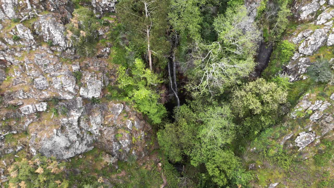 imágenes aéreas de drones de 4k que se alejan de la majestuosa cascada de monchique en portugal asomándose a través de la vegetación de la jungla circundante