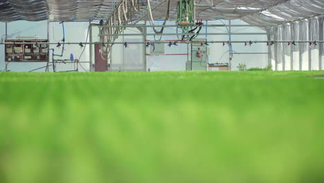 Watering-equipment-is-ready-for-work-in-greenhouse-with-planted-beds