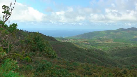 Hermosas-Vistas-Al-Campo-En-Chamarel