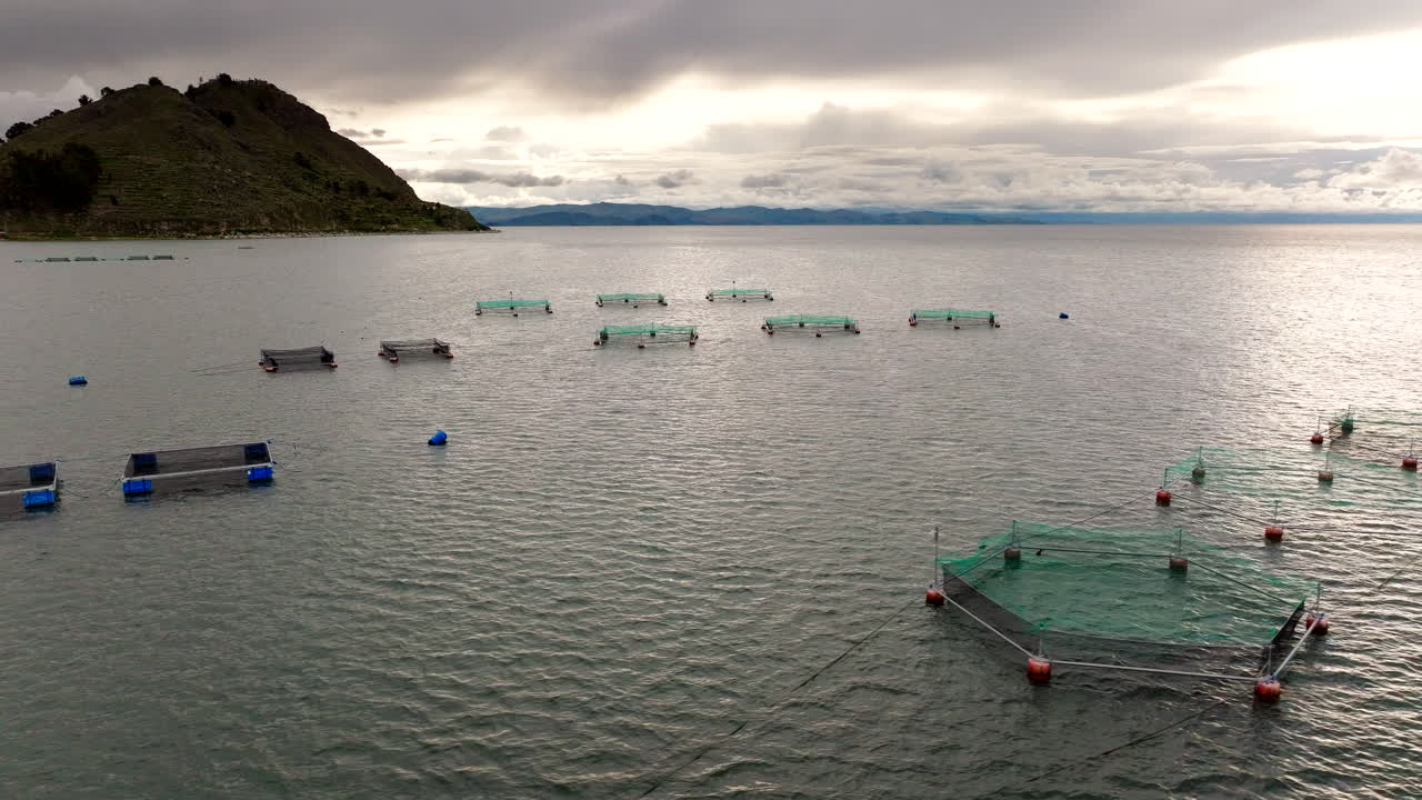 Drone view of rainbow trout fish farm pens in Lake Titicaca, pisciculture