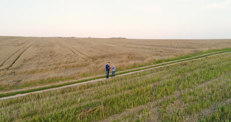 Jóvenes-Agricultores-Discutiendo-En-El-Campo-De-Maíz-11