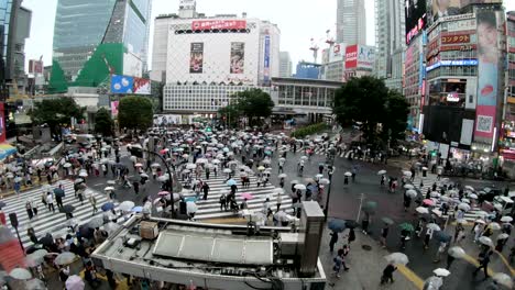 4k time lapse of people with umbrellas cross the famous diagonal intersection in shibuya, tokyo, japan