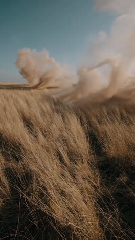 dusty field in the wind