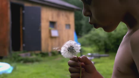 boy blowing a dandelion