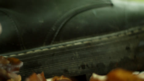 old black boots in fallen leaves