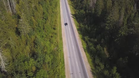 aerial view of a road through a forest