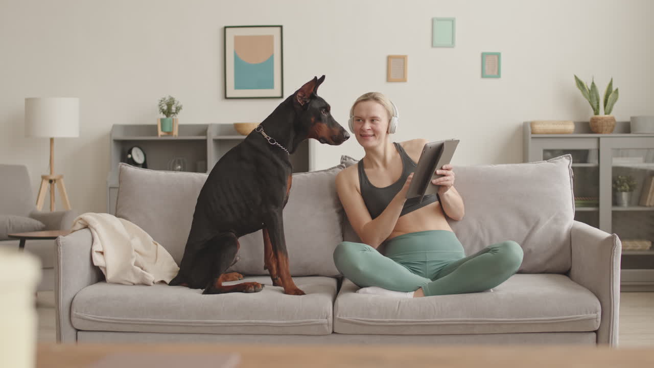 Dog Watching Owner Using Tablet Computer