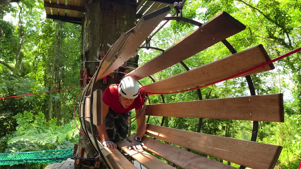 Person enjoying a treetop adventure course