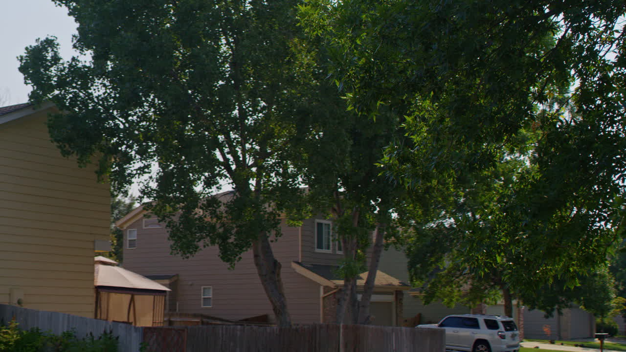 toma de cardán del sol asomándose a través de los árboles en un barrio residencial