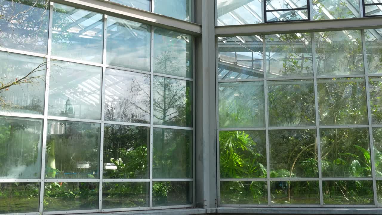 Glass greenhouse facade in Palmengarten Frankfurt with tropical plants visible inside and mossy pond in foreground in daylight