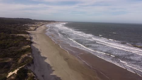 aerial tracking shot of black bird flying over sandy beach in front of atlantic ocean in uruguay