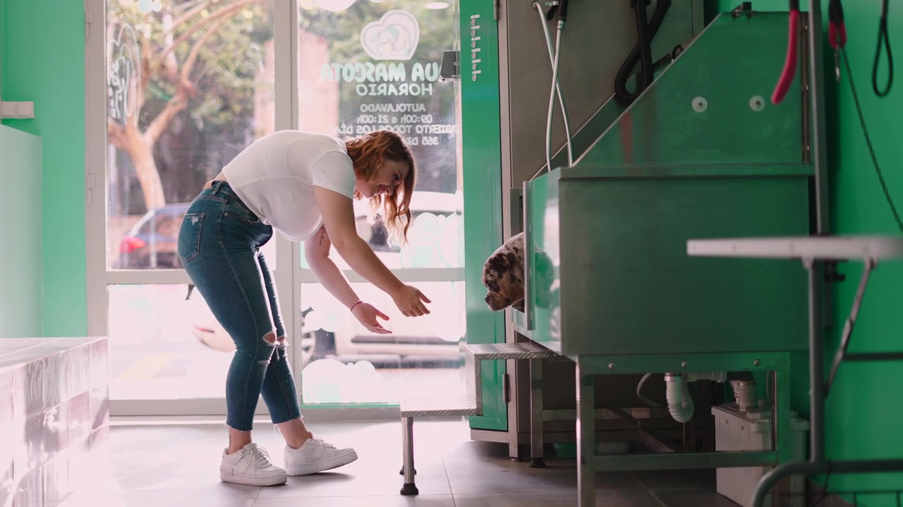 Ung kvinde forbereder sig på at vaske en hund i en hundesalon.