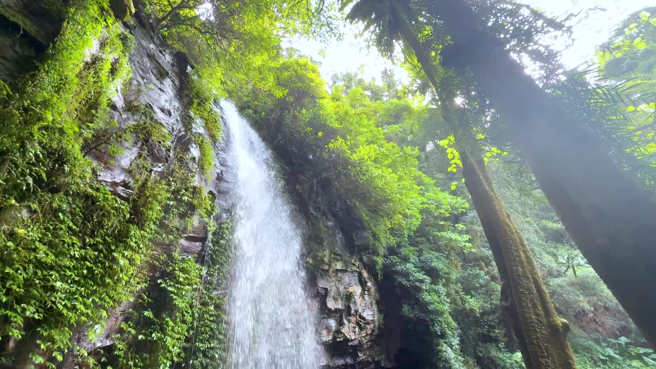 Waterfall flows down mossy cliff, sunlight streaming through dense rainforest, slow upward camera tilt