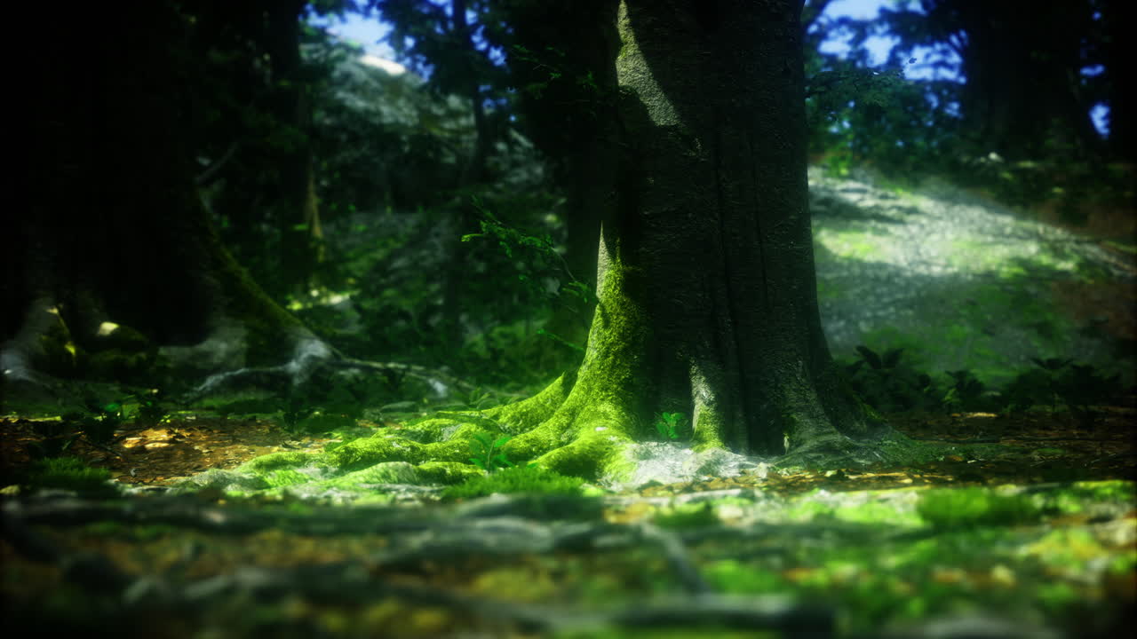 la luz del sol se filtra a través de los árboles iluminando el suelo del bosque con musgo vibrante
