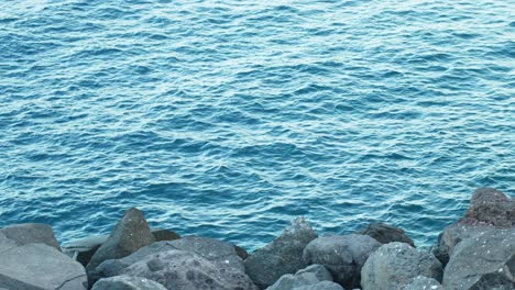 turquoise waters and rocky shoreline of tenerife sea