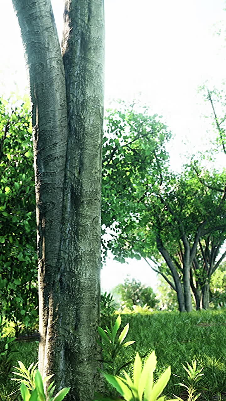 Majestic Tree Trunk in a Lush Forest