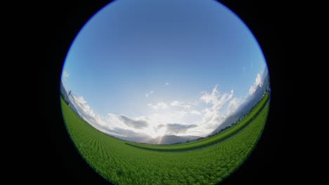 crepuscular ray, white clouds, rice fields combined into picturesque. fish eye.