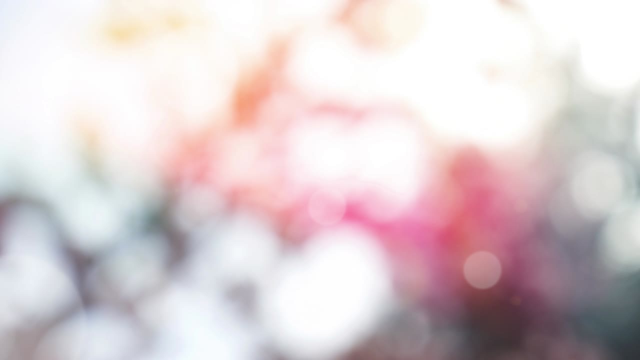 fondo de verano abstracto con bokeh