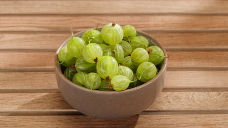 picking green gooseberries