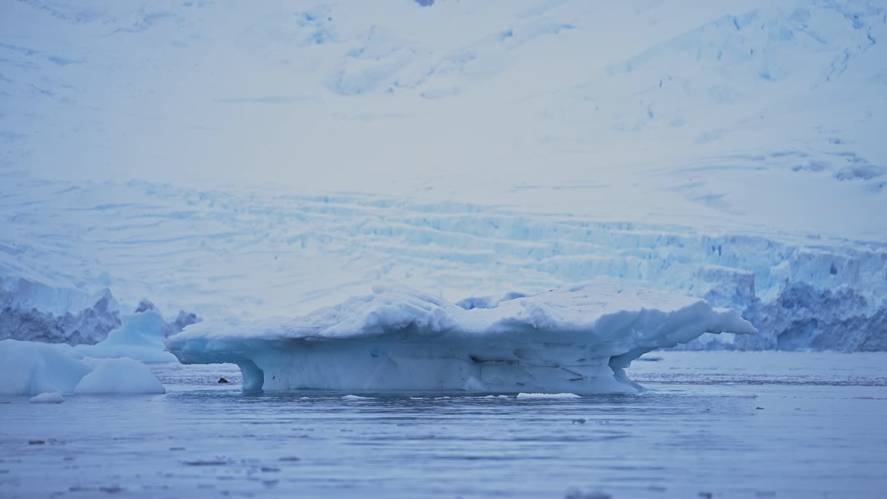 남극의 풍경은 빙산과 얼음으로 이루어져 있으며, 남극 반도에는 광활하고 극적인 풍경, 푸른 겨울에 큰 특이한 모양을 가진 아름다운 해양 풍경이 있습니다.