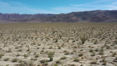 Drohnenflug-über-Halbtrockene-Wüstenlandschaft-In-Den-Joshua-Tree-Nationalparks-Im-Südosten-Kaliforniens