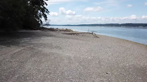 peaceful beach walk