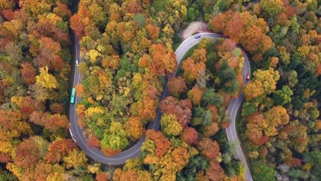 traffic in an autumn colored forest, cars and a bus are driving along a serpentine curved street, flying forward with a drone over a beautiful landscape