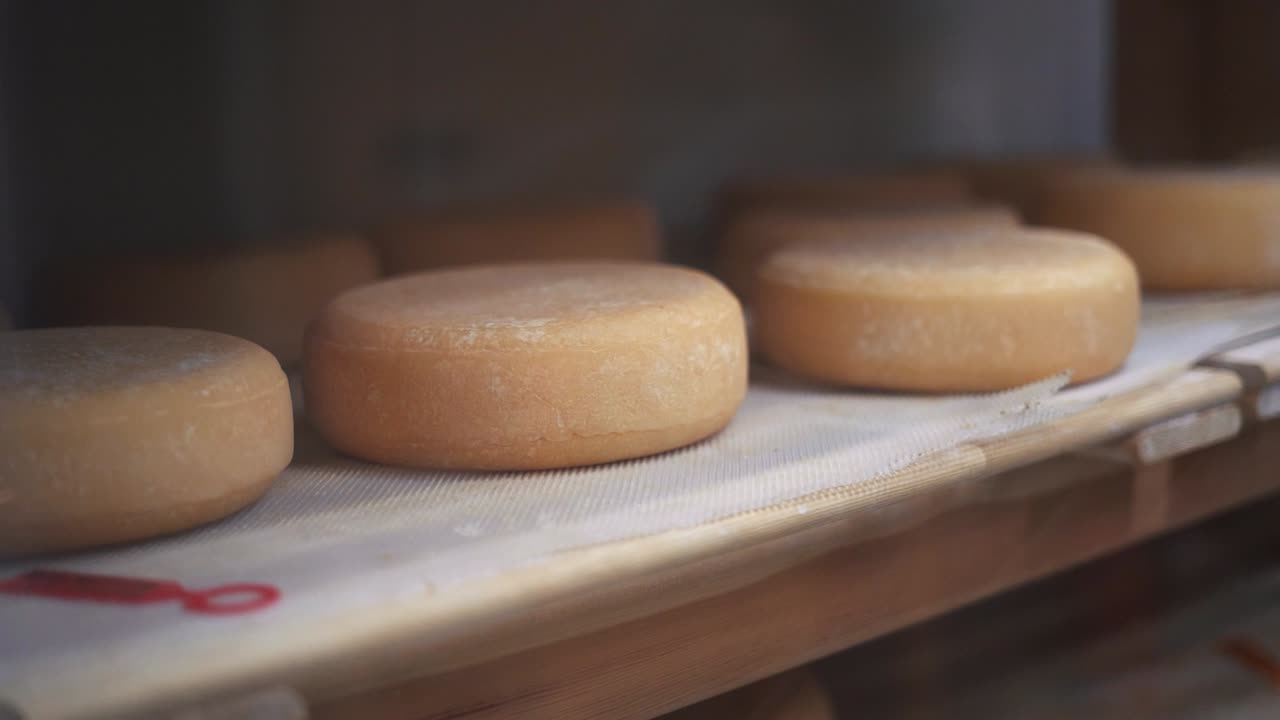 fábrica de cuñas de queso