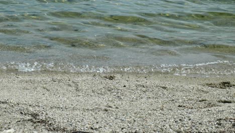 captivating footage of waves gently breaking on the serene shores of lake manapouri
