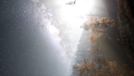 Milchstraßengalaxie-über-Wald