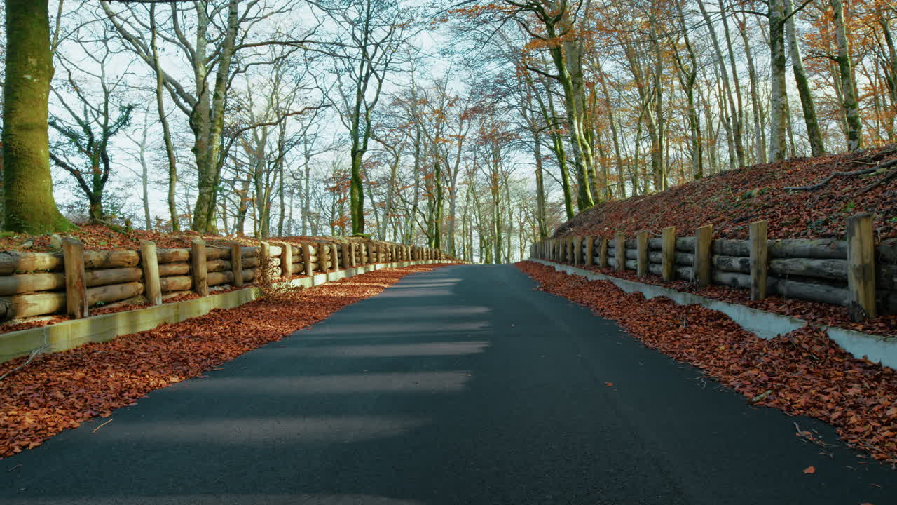 Mountain Road With Wooden Bulkheads To Retain The Soil