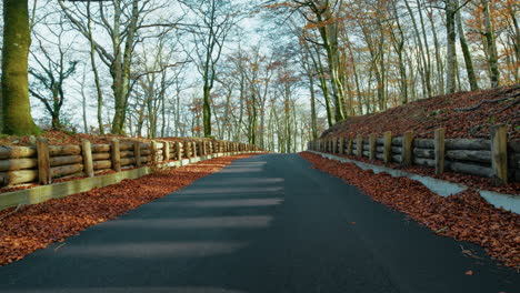 mountain road with wooden bulkheads to retain the soil