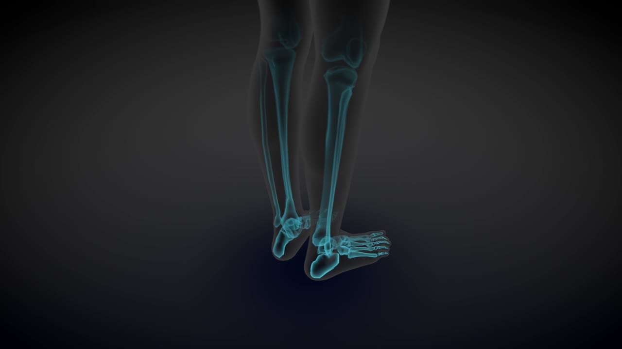 2개의 다른 3d 원활한 루프 애니메이션, 여성 몸의 회전 - 장기와 골격의 스레이 스캔, 의료 교육 일러스트레이션 - 4k 60fps uhd