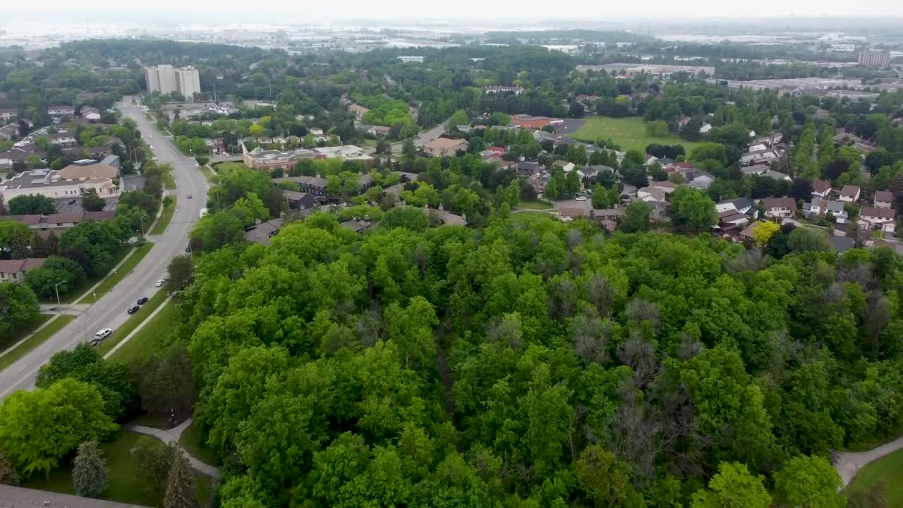 volando sobre los árboles anidados en el vecindario de mississauga en un día nublado