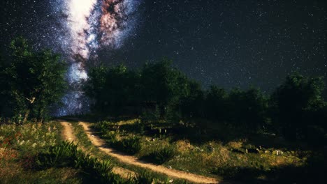 Bosques-De-árboles-Verdes-En-El-Parque-Bajo-El-Cielo-Estrellado-De-La-Noche