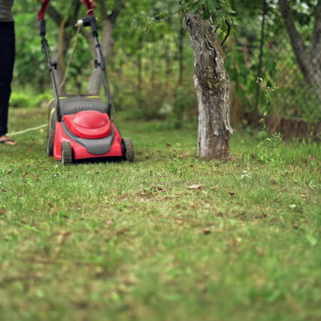woman's legs with lawn mover machine outdoors. lawn mower cutting the grass in a summer day. gardening activity .