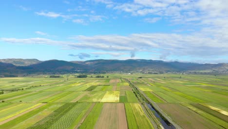 agricultural farms with green planted parcels on field bordered by mountains on cloudy sky background