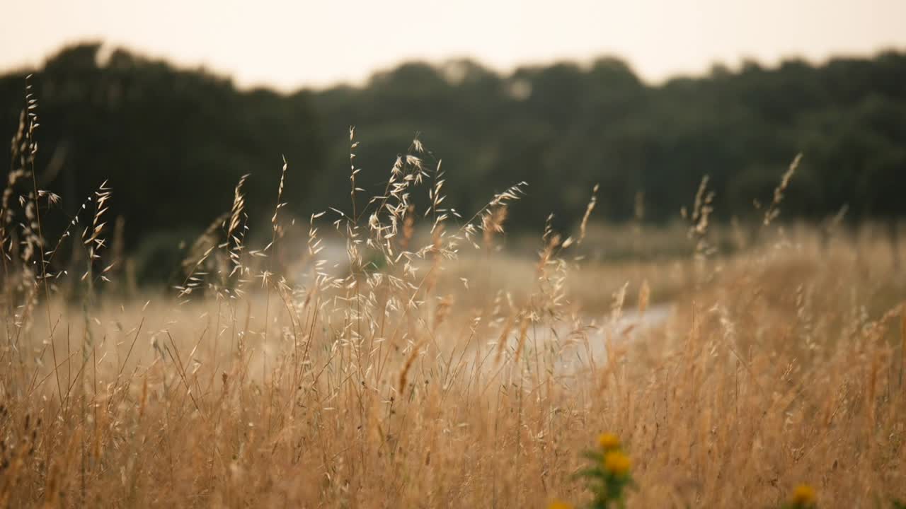 포르투갈 알렌테조의 비포장도로