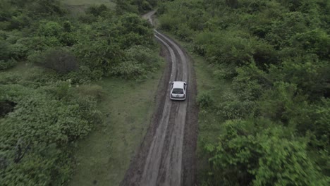 White-Car-Driving-Through-Dirt-Road-In-The-Midst-Of-Green-Trees