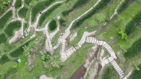 Vista-Por-Drones-De-Las-Terrazas-De-Arroz-De-Tegallalang-En-Bali.