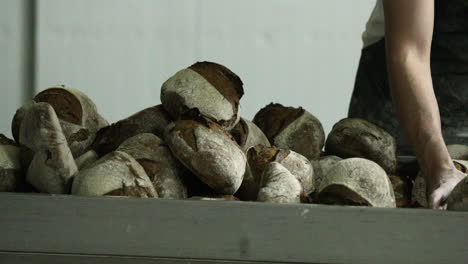 baker arranging the stack of sourdough bread in a bakery