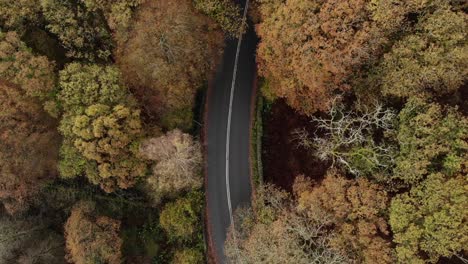 autumn road from above in uk