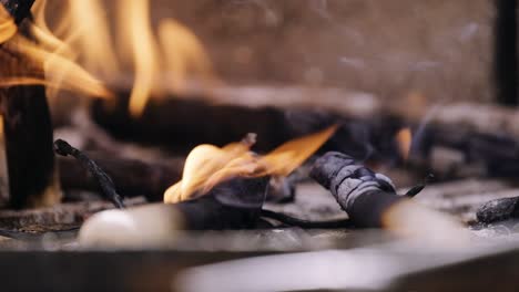 more closer and burned moment from the little part of the burning wood pile on a free garden oven