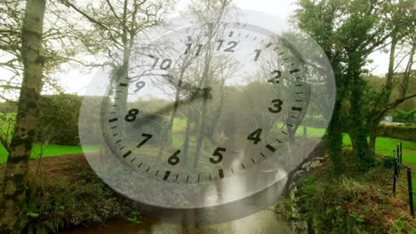 white clock and a park