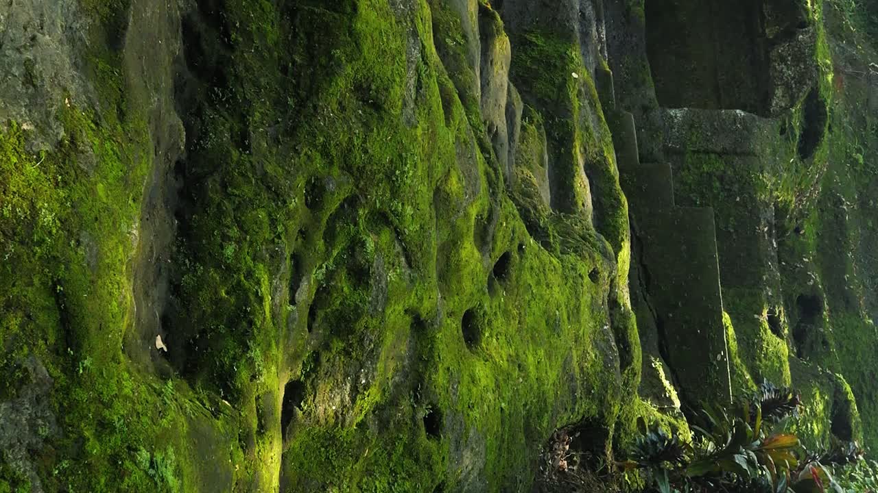 tomada vertical del idílico jardín verde de ensueño en goa templo de gajah en la cueva de los elefantes en gianyar en bali indonesia con vistas al césped con escalones de piedra y plantas en cámara lenta