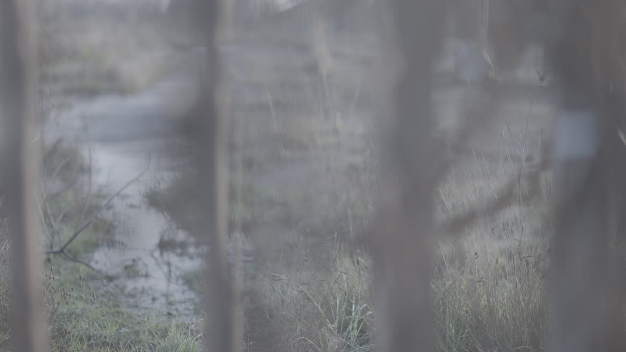 Industrial and abandoned land plot with a fence in front peaking through LOG