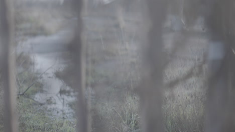 Industrial-and-abandoned-land-plot-with-a-fence-in-front-peaking-through-LOG