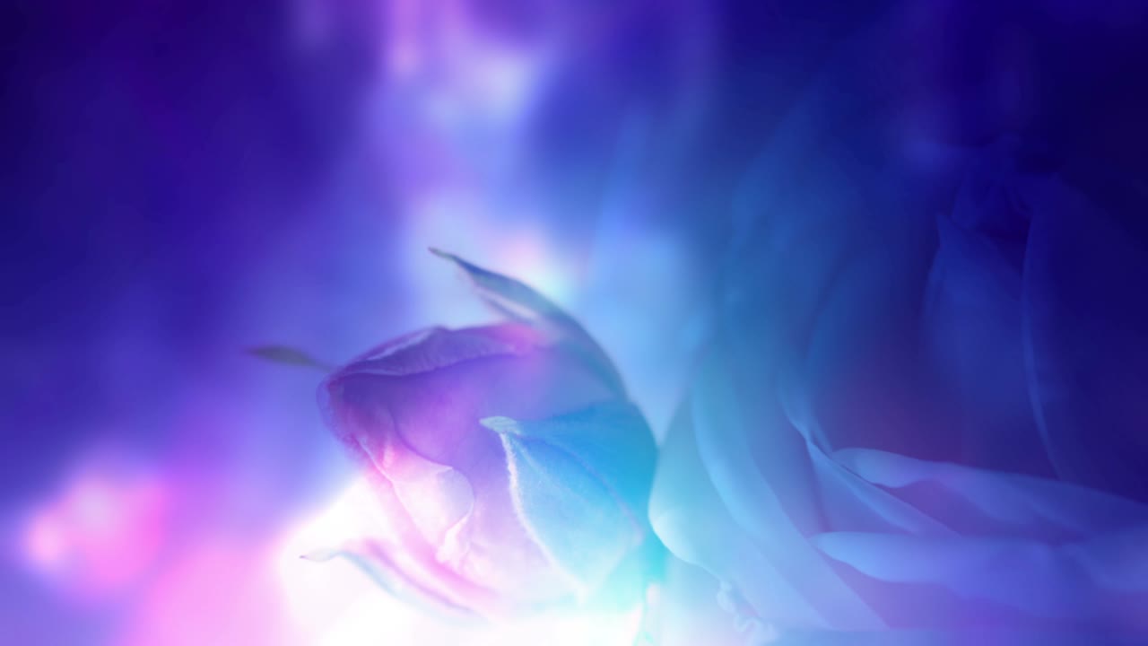 diseño floral brillante y colorido