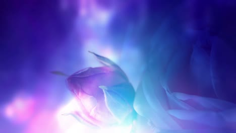 glowing and colorful floral design
